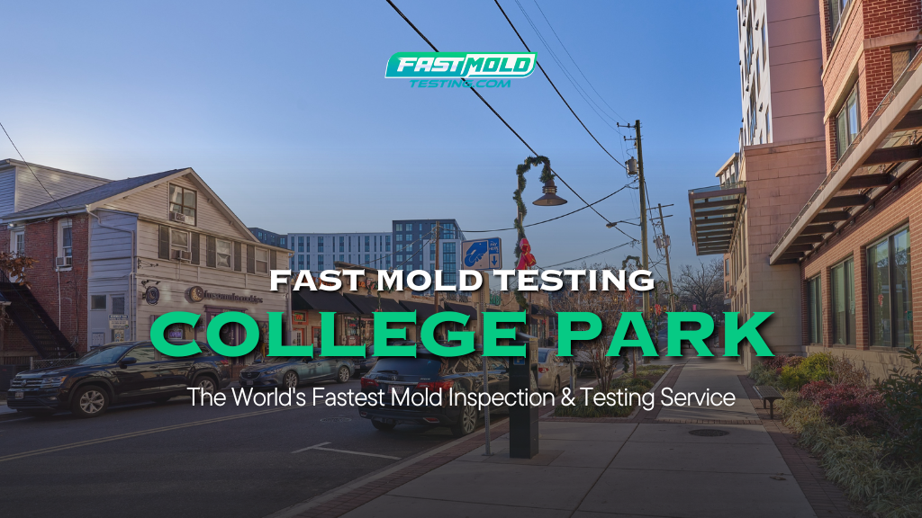Fast Mold Testing – College park
