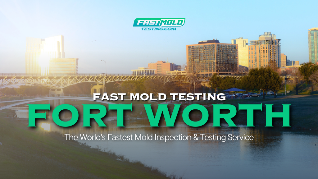 Fast Mold Testing Fort Worth