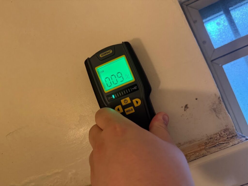 Fast Mold Testing – New Orleans