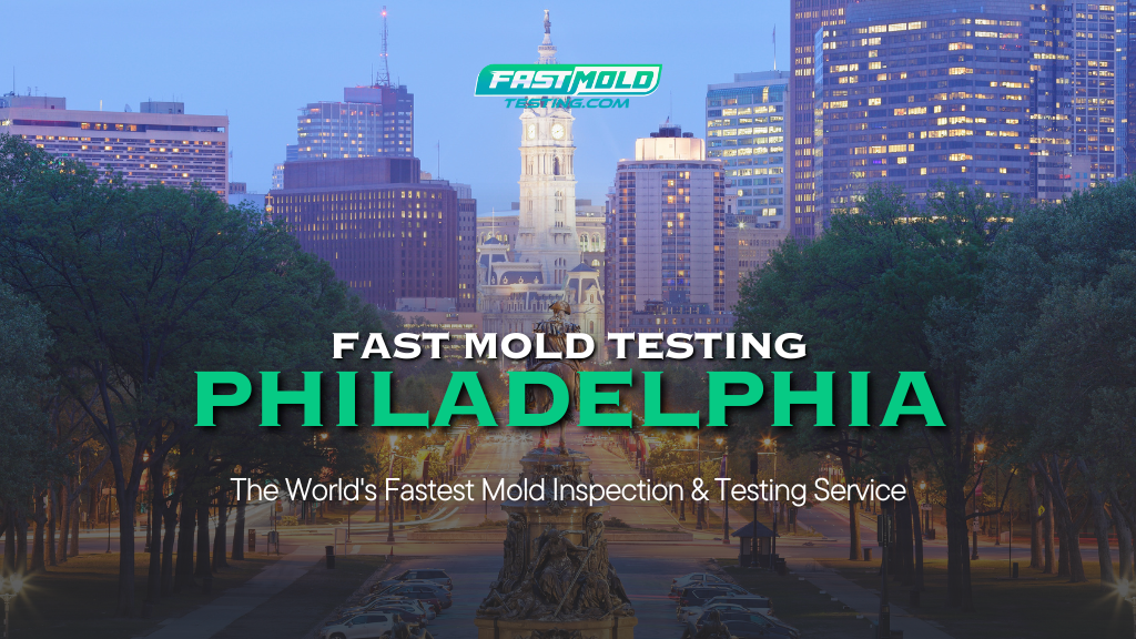 Fast Mold Testing – Philadelphia