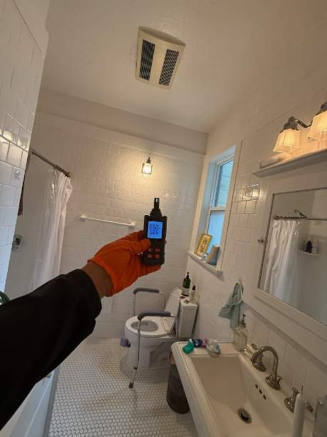 Fast Mold Testing – Seattle