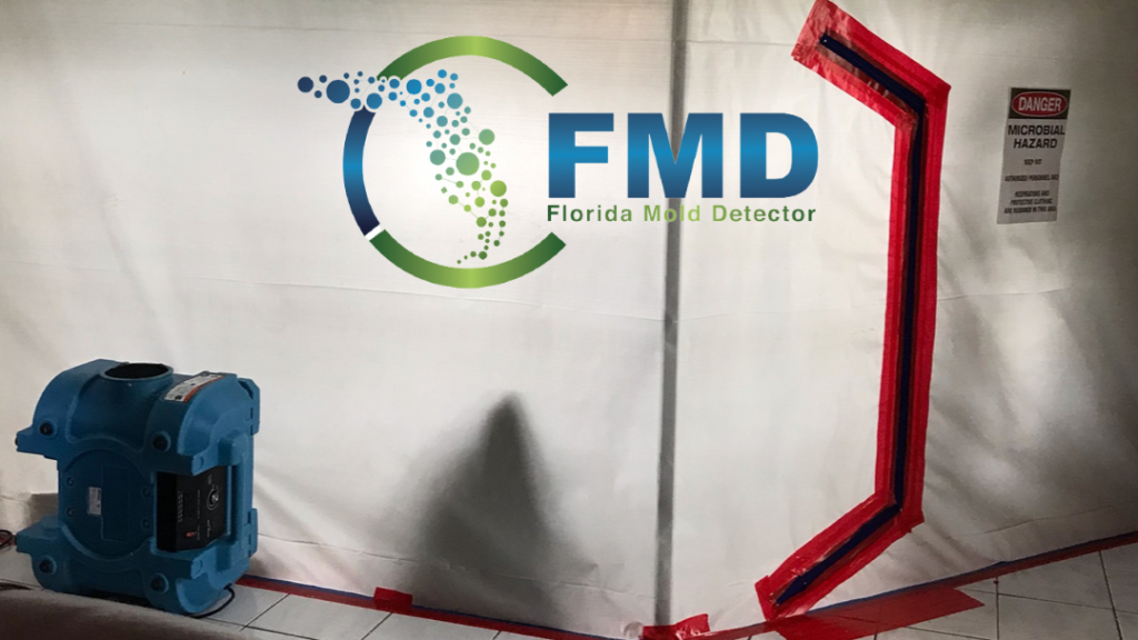 Florida Mold Detector | Mold Inspection, Testing & Removal Miami