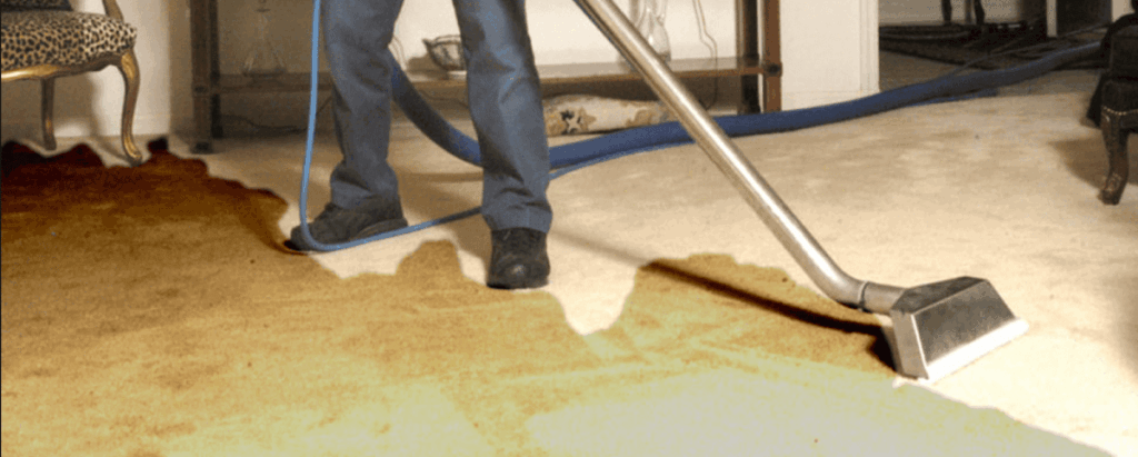 Forrest Water Damage Restoration