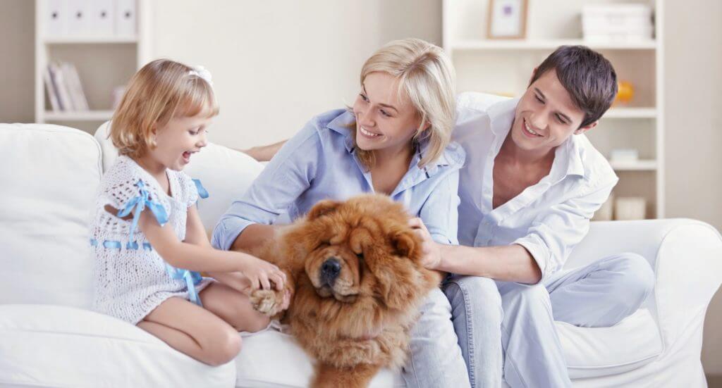 Genesis Healthy Homes