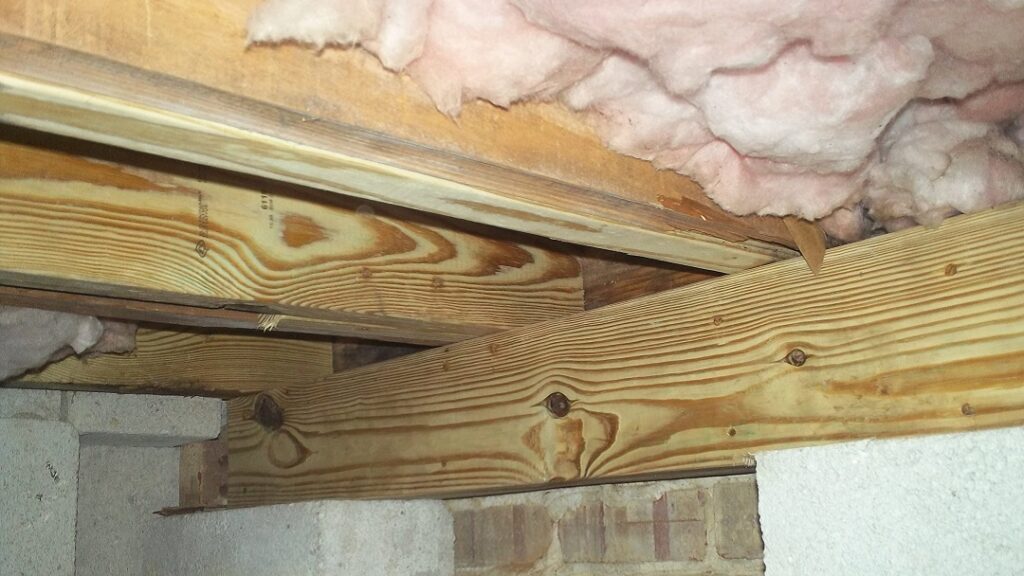 Gilbert & Son Moisture Mold & Foundation