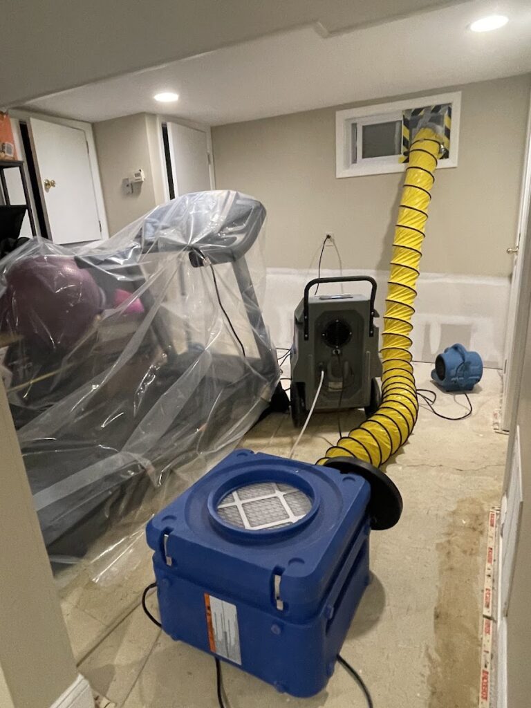 Green Guard Mold Remediation Hackensack