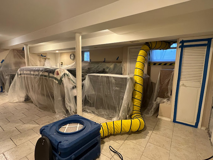 Green Guard Mold Remediation Plainfield