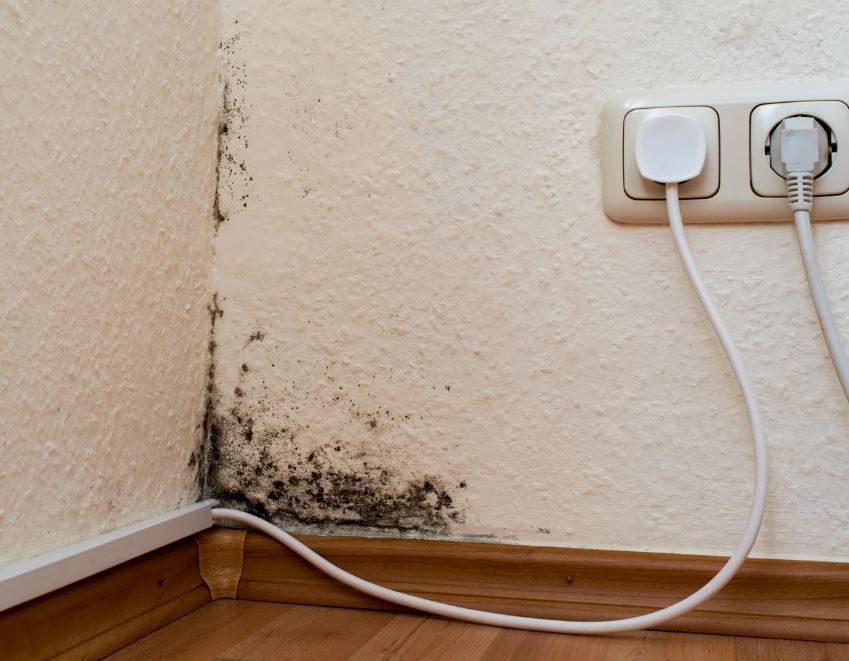 Guardian Mold Removal