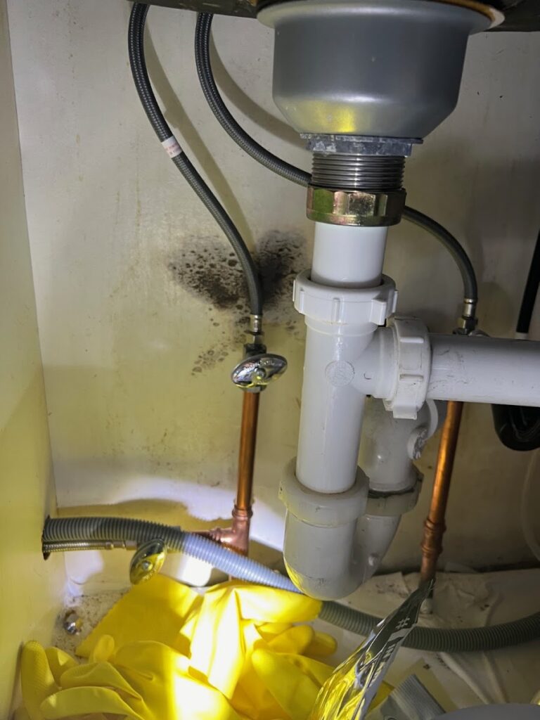 Healthy Living Mold Inspections LLC