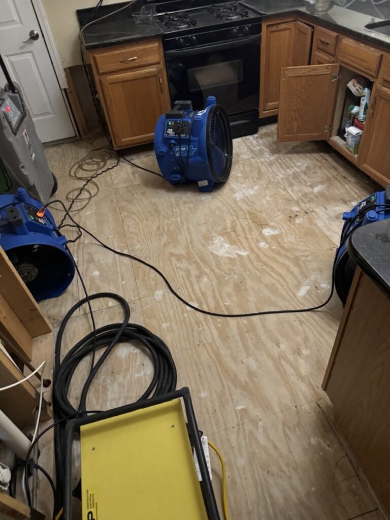 Household Environmental