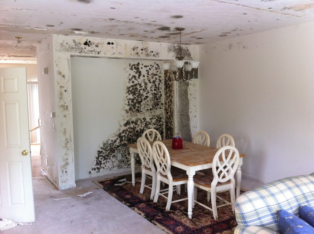Indiana Mold Remediation