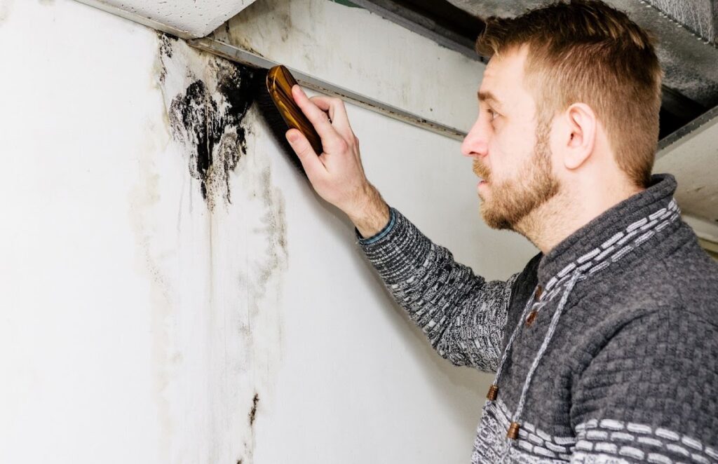Industrial Park Mold Solutions