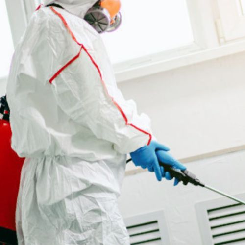 Jonell Mold Remediation