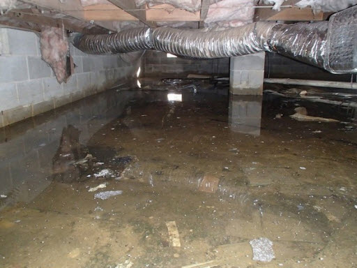 Lumina Water Damage Restoration