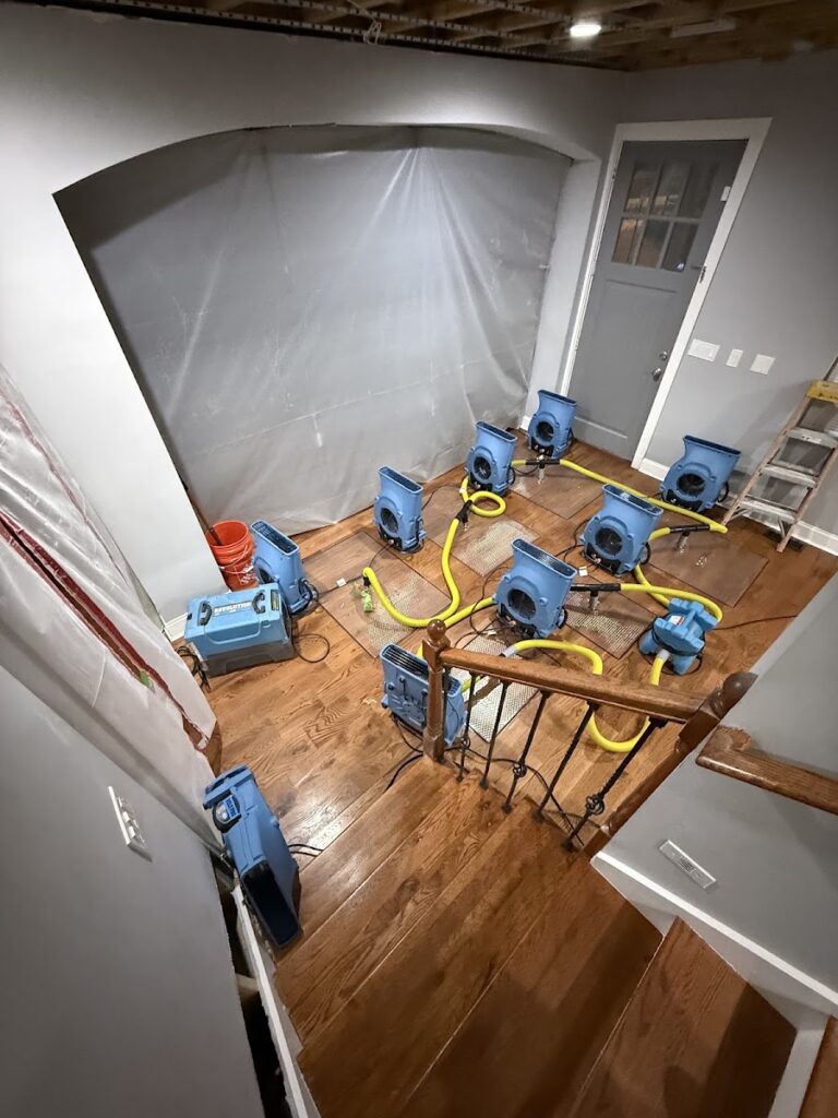 Mammoth Water Damage and Mold