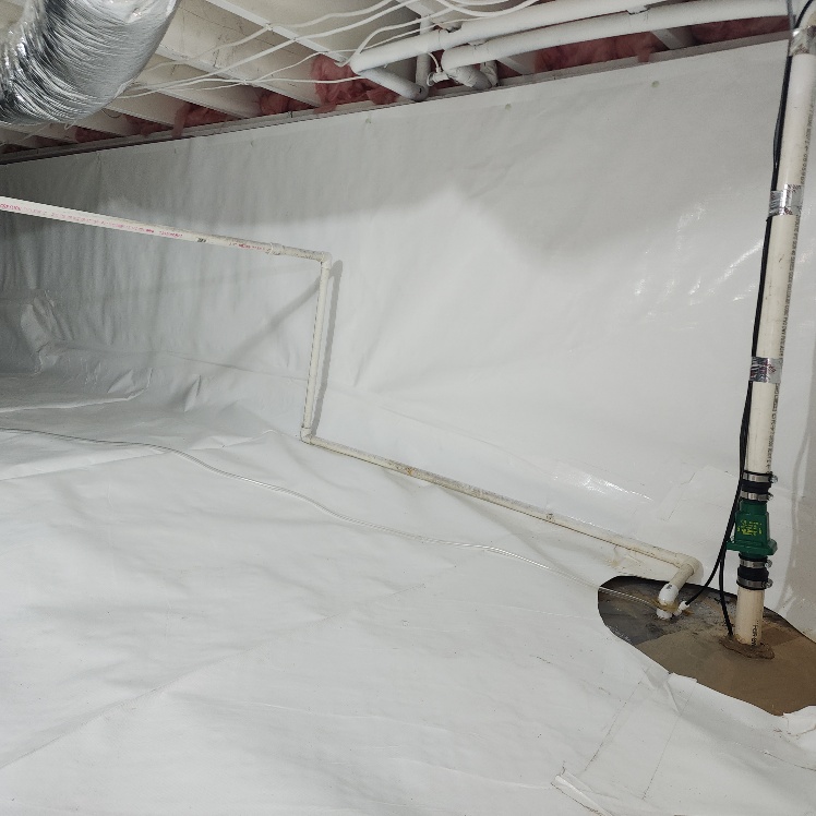 Maryland Mold and Waterproofing