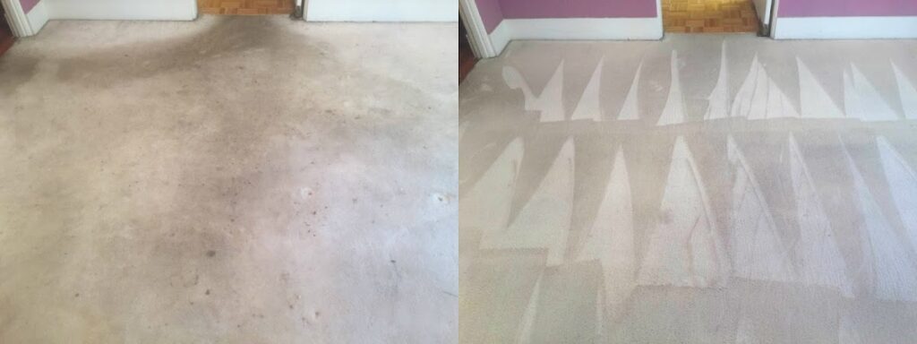 Maximum Carpet & Restoration