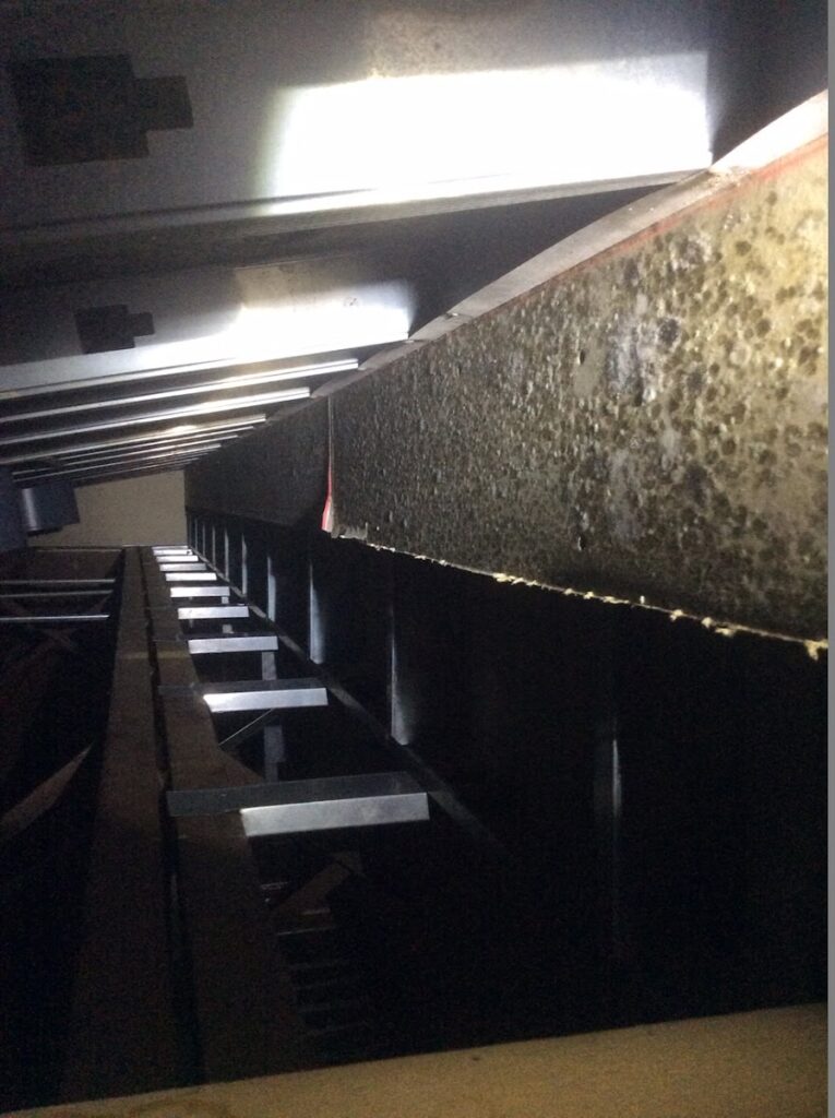 MB Mold And Air Quality Testing