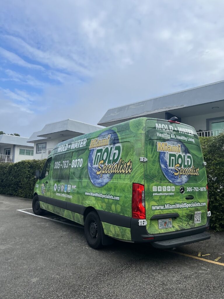 Miami Mold Specialist