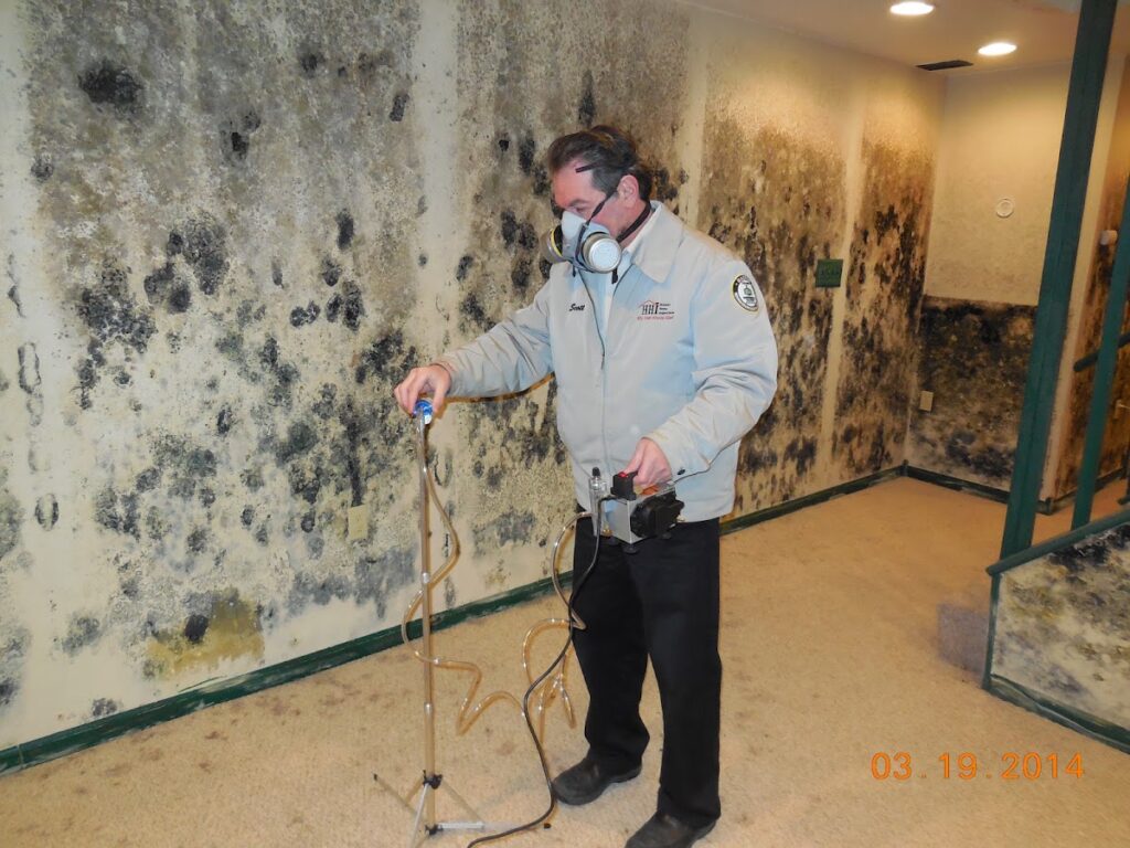 Milwaukee Mold Inspector (and Testing)