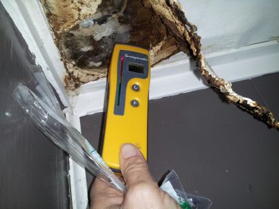 Minnesota Mold Inspection, LLC