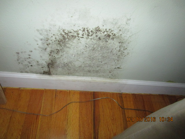 MJB Services, Inc. Mold Inspections & Testing