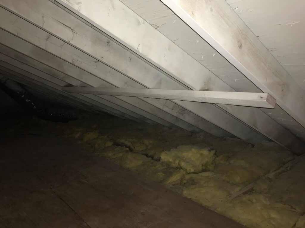 Mold Abatement Contractors