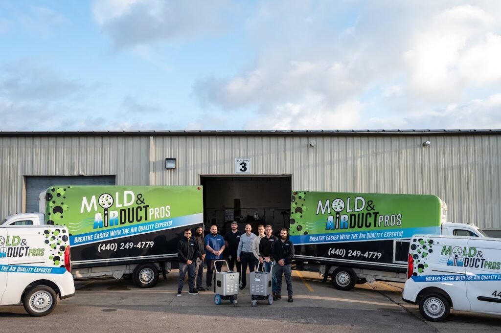 Mold and Air Duct Pros