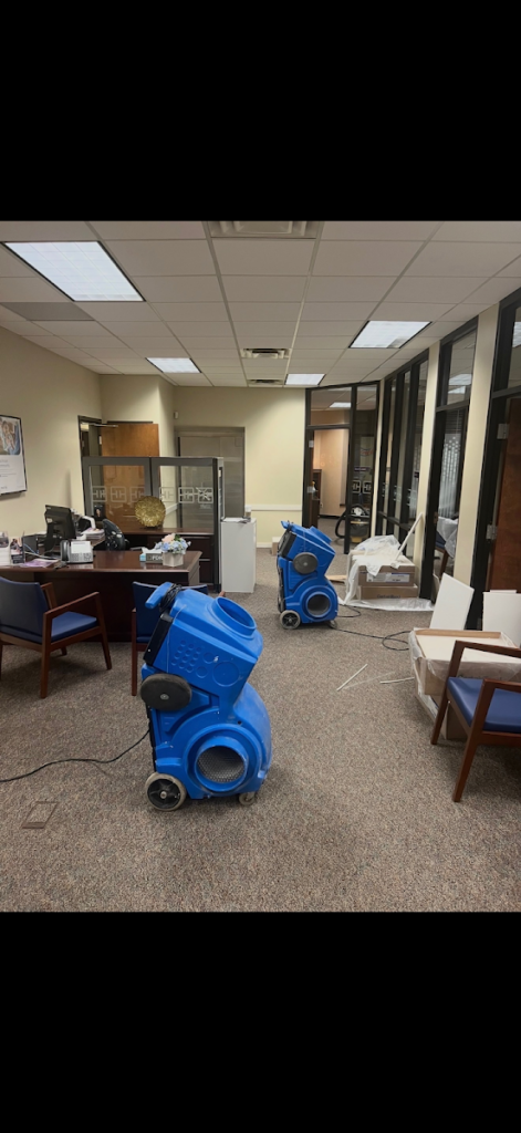 Mold Busters Inspection Remediation