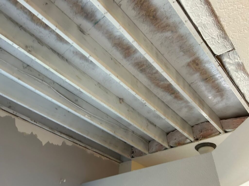 Mold Busters New Mexico