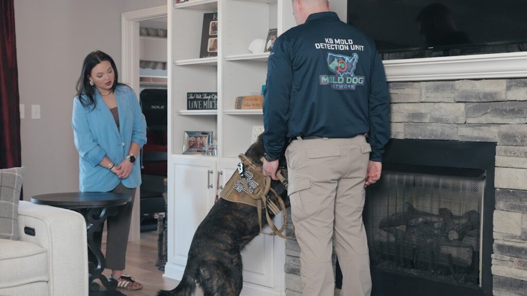 Mold Dog Network