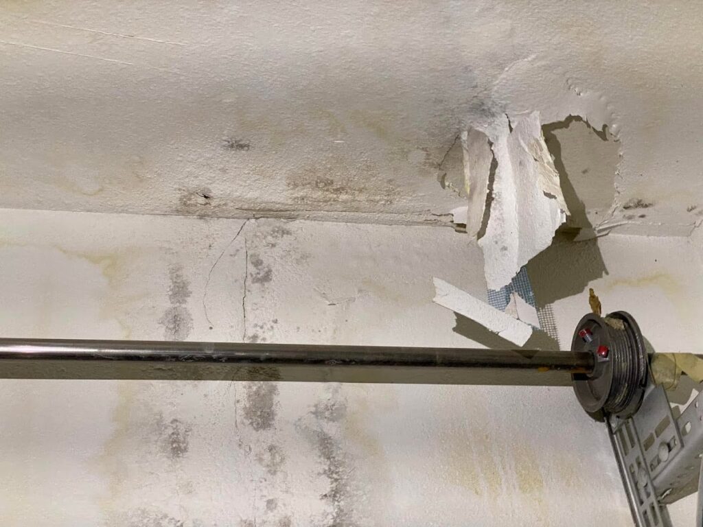 Mold Eliminators Removal and Inspection of Las Vegas