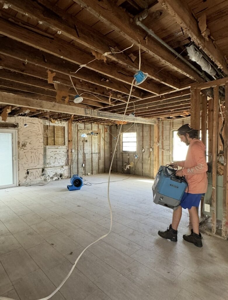 Mold Exterminators
