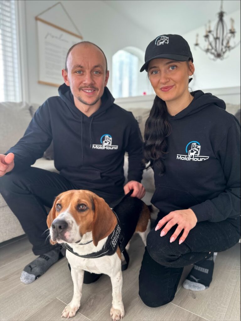 Mold Hound – Mold Dog Inspections