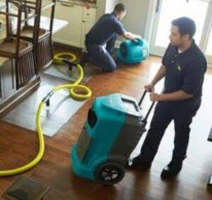 Mold Inspection Livonia