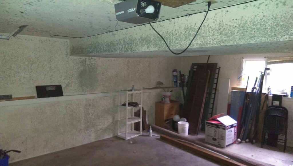 Mold Inspection Services, Inc