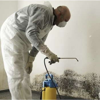 Mold Inspector NJ