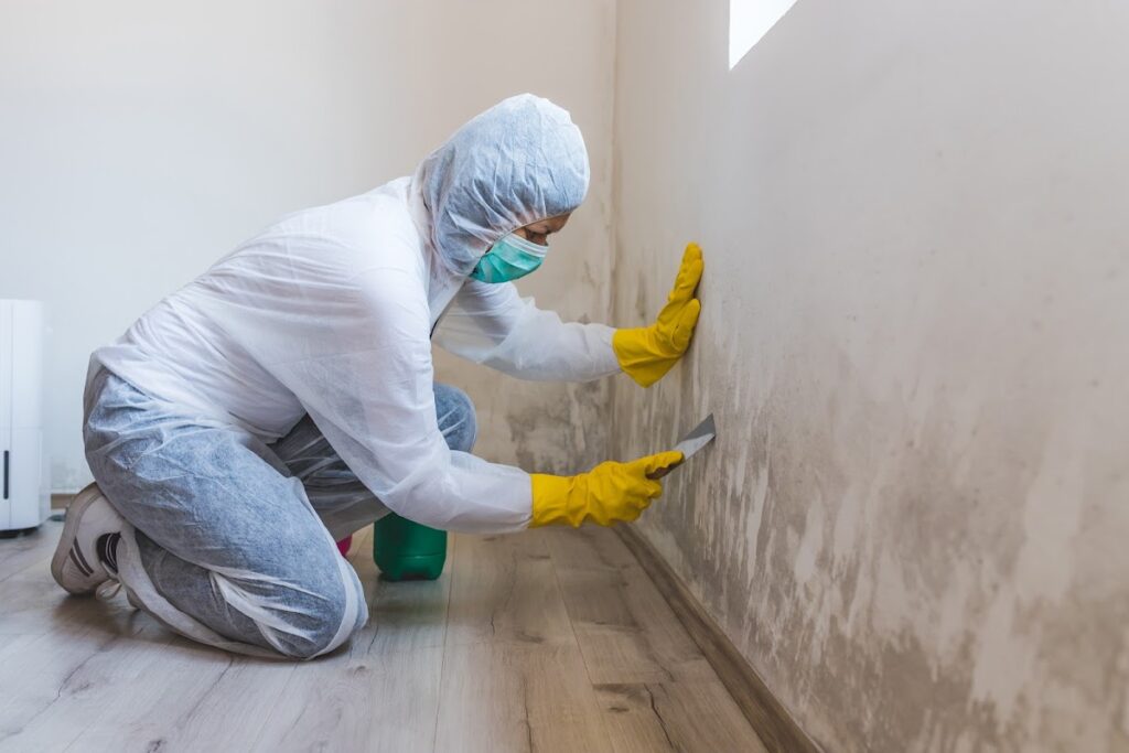 Mold Masters