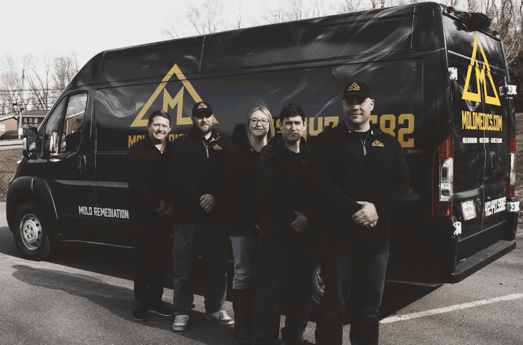 Mold Medics