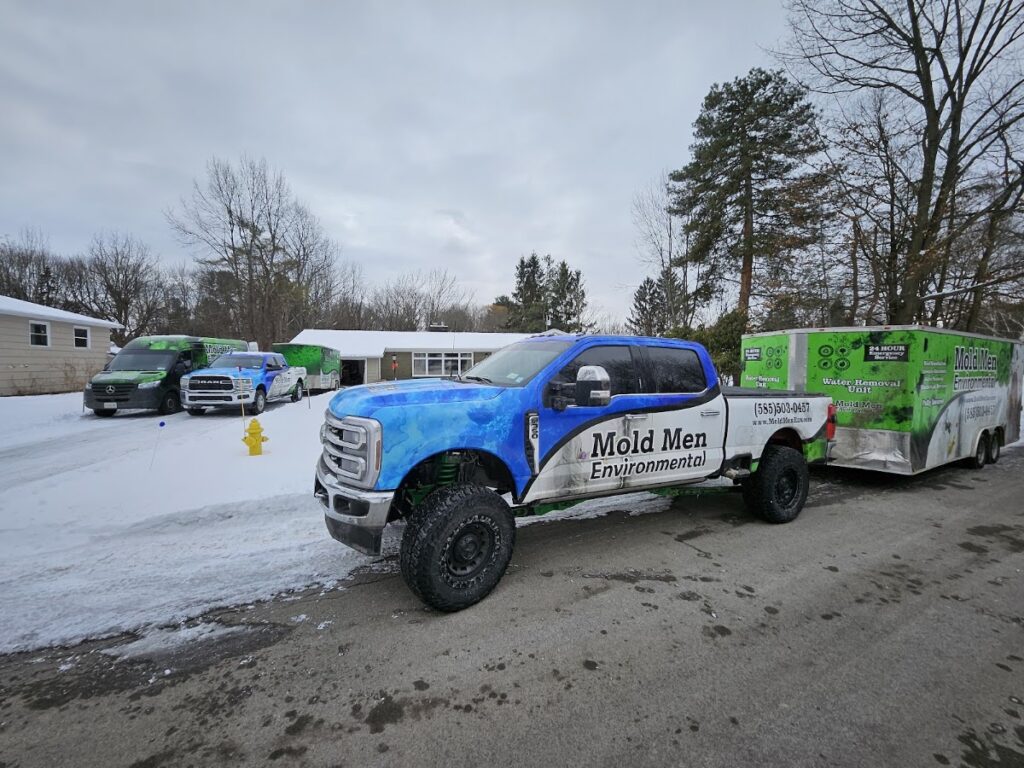Mold Men Environmental