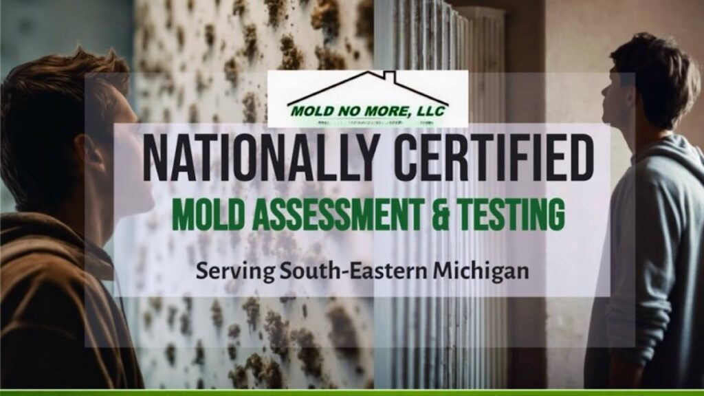 Mold No More LLC