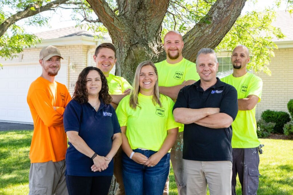 Mold Pro Chicago