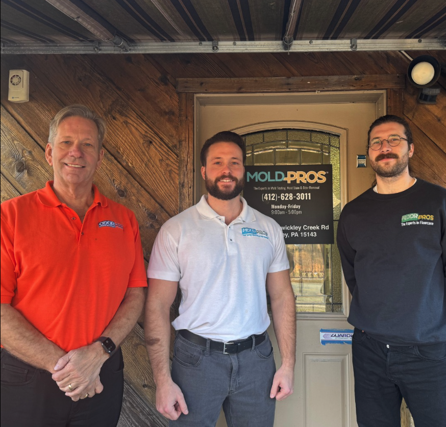 Mold Pros of Western PA