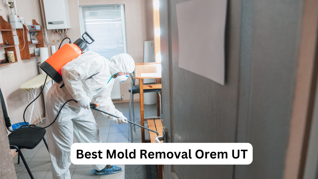 Mold Removal Orem Solutions
