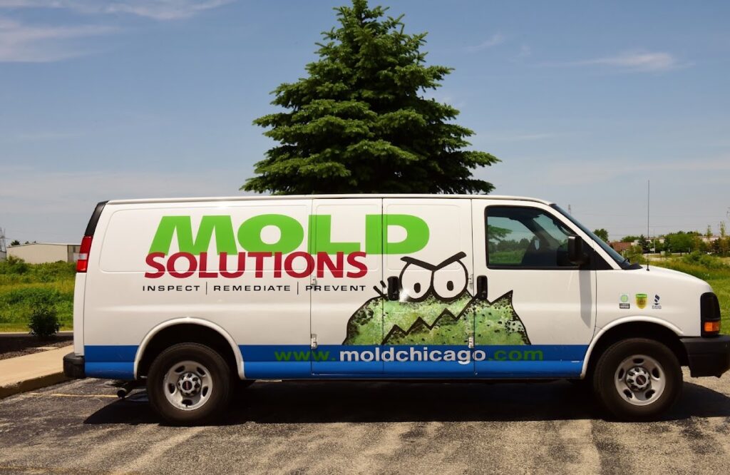 Mold Solutions