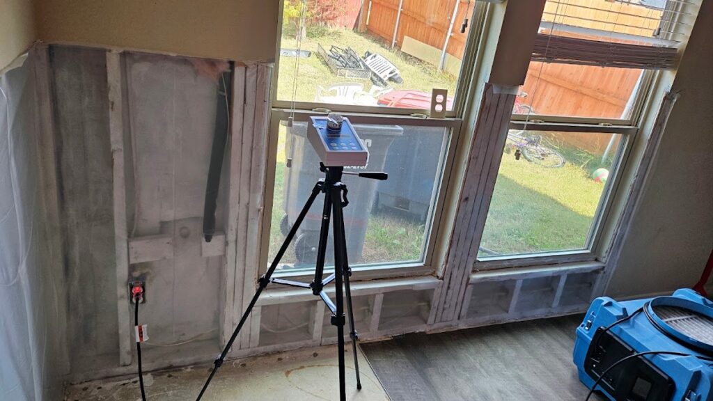 Mold Testing and Removal