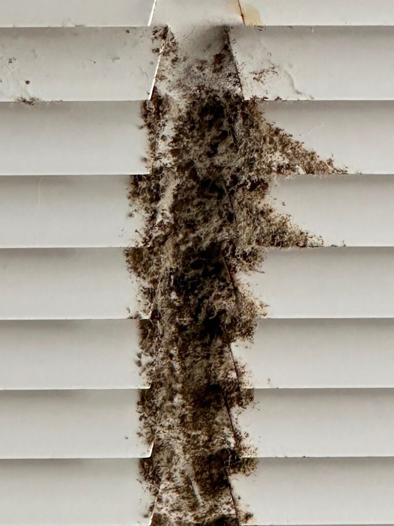 Mold Testing of Dallas