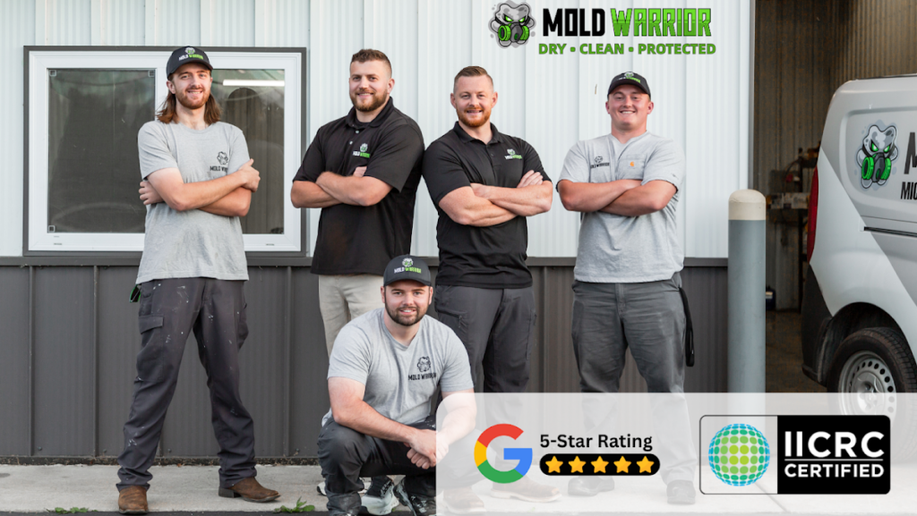 Mold Warrior