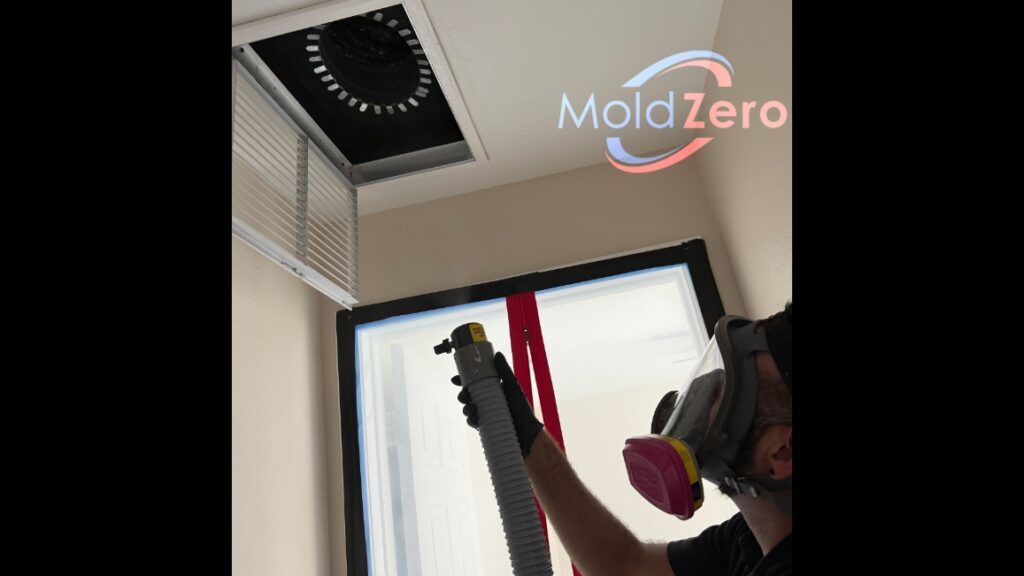 Mold Zero