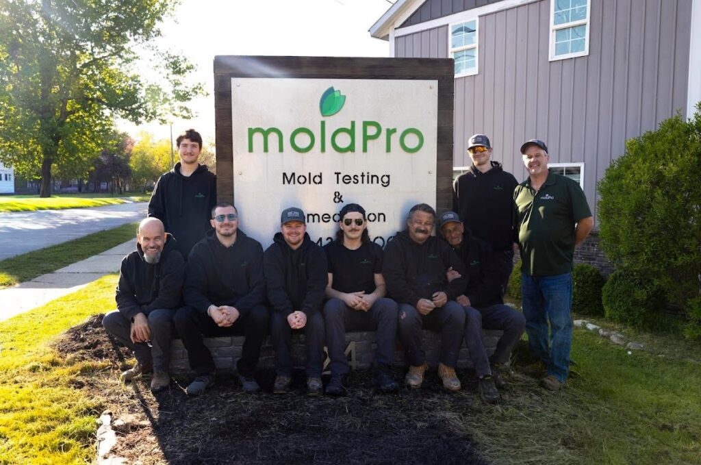MoldPro